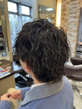 アルターリアン(aL ter LieN) ウルフ/アッシュブラック/カルマパーマ/ベリーショート宮野翔