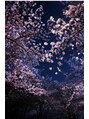 トワ 仙台店(toi) 何年か前に撮った盛岡の『桜』