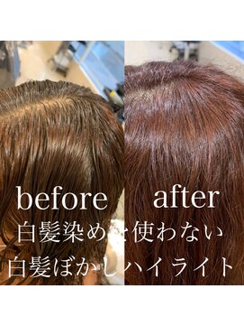 アッシュ 高幡不動店(Ash) 【Ash高幡不動×山崎】白髪染めを使わない白髪ぼかしハイライト6