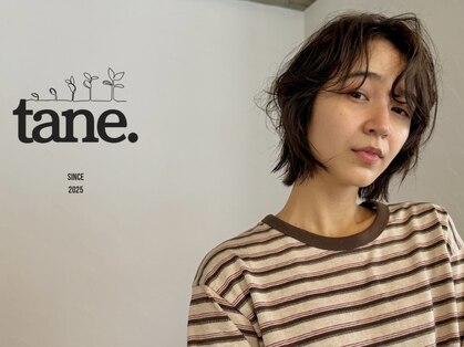 タネ(tane.)の写真