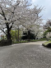 アバンティ(AVANTI)