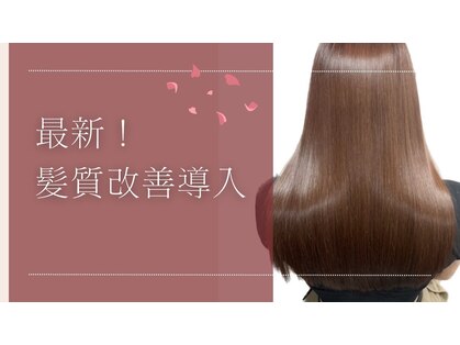 ボンドヘアー(Bond Hair)の写真