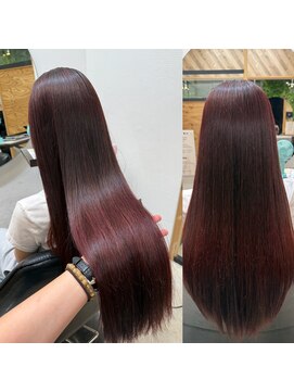 エヌ 北千住(N) ワインレッドカラー