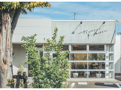 ツツイ(tsutsui)の写真