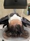 ナージーカフナ(NAJEY cafna)の写真/髪の乾燥や頭皮のコリが気になる方にオススメ！熟練のヘッドマッサージで、むくみを解消＆リラックス♪