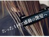 【感動体験♪】カット+“徹底的な内部補修”超音波トリートメント ¥7,700