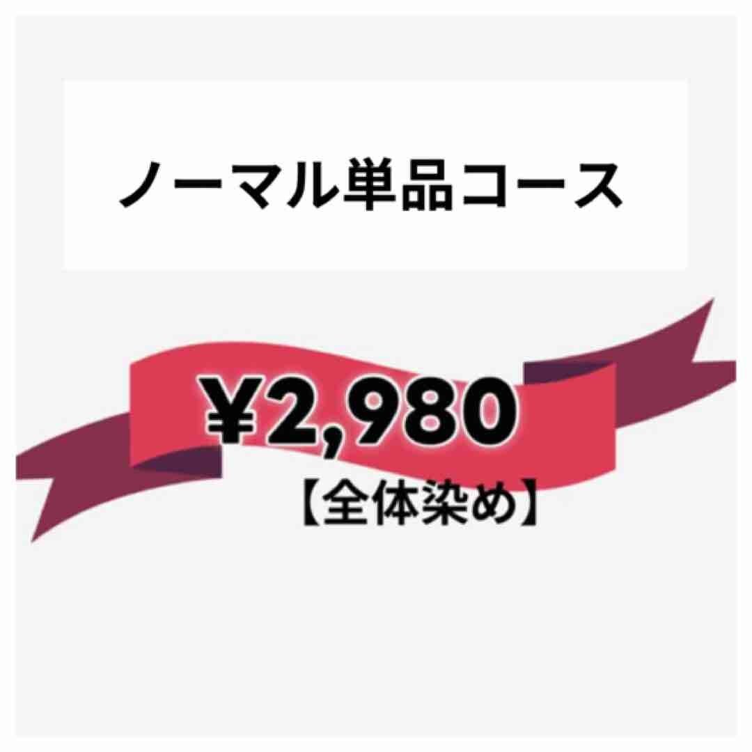 ノーマル単品全体染めカラー、肩下ロング料金＋400〜