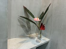 ウィ(oui)の雰囲気（自然に香る、植物の香りが好きです。）