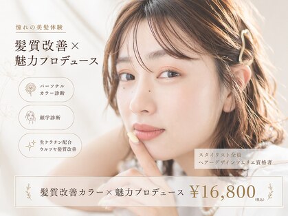 レゴヘアー(Lego Hair)の写真
