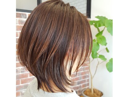 リリッシュ(Liliesh)の写真