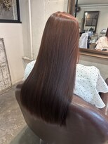 ステディー(Steady)&nbsp;ボルドーカラー