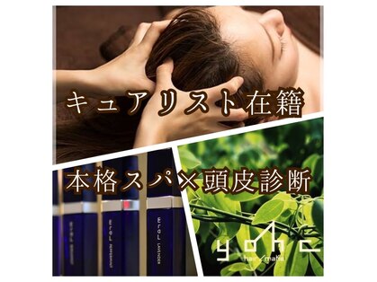 ヨーク(YOHC)の写真