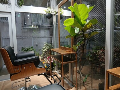 エスプラント(S.plant)の写真