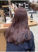ピンクラベンダー