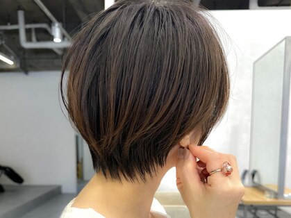 エル(el.)の写真
