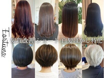 フォルトゥーナ(Fortuna)の写真