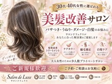 サロン ド リュクス(Salon de Luxe)