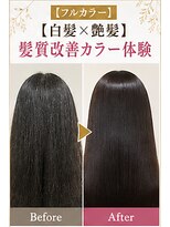 リアン(Lien) 【フルカラー】【白髪×艶髪】髪質改善カラー体験