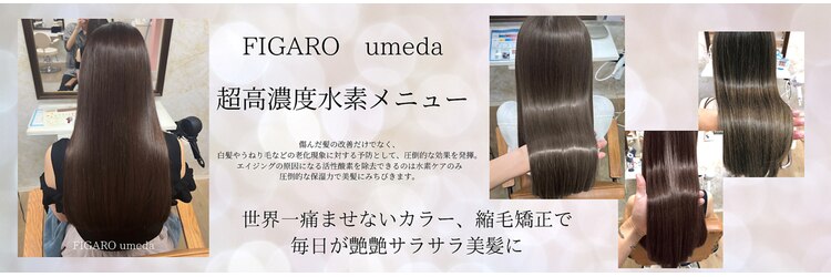 フィガロ ウメダ(FIGARO UMEDA)のサロンヘッダー