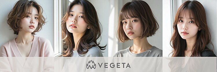 ベジータ(VEGETA)のサロンヘッダー