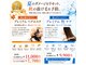 ヘアサロンカルア(Hair salon KARUA)の写真/９月限定夏の疲れからくる秋の頭皮毛髪環境の悪化を改善する当店自慢の【プレミアムヘアエステメニュー】