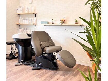 ちゅらさんの写真