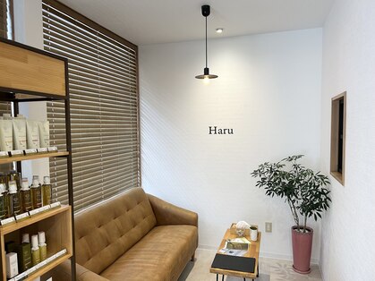 ハル(Haru)の写真