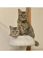 バンプ ギンザ(BUMP GINZA) 双子の保護猫ちゃんを迎え入れ、楽しく大切に暮らしています☆