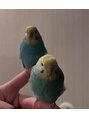 ヒロギンザ 広島本店(HIRO GINZA)&nbsp;小学生の頃からインコ飼ってます、最長12年