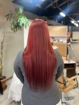 アリカ(arika) 高発色レッドカラー