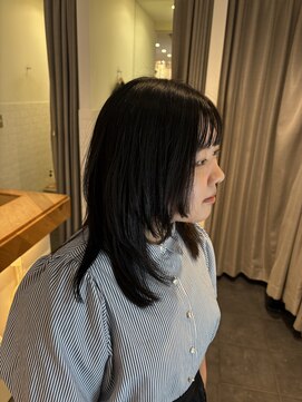 エイゾー(EIZO) ハイレイヤー/ミディアムレイヤー/韓国レイヤー