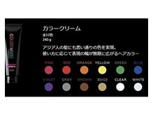 ビビッドなカラーは資生堂のカラーミューズ