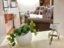 ビューティーサロン ゆりの雰囲気（『amebaブログ』で更新中https://ameblo.jp/bsyuri39）