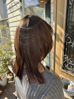 チョコレート(chocolate) メテオカラー