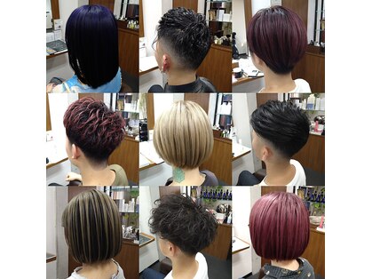 イベリス(Iberis)の写真