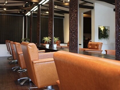 シュシュ(chou chou)の写真