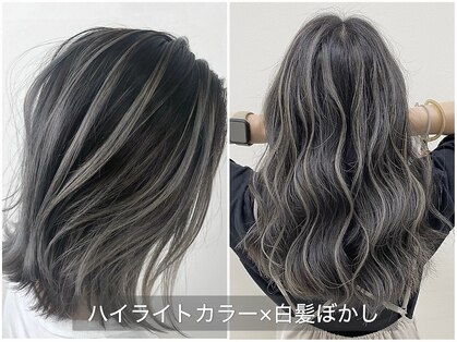 マーシュアトレ(marshu atre)の写真