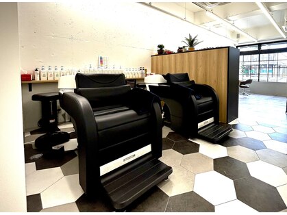 シャ ノワール(chat noir)の写真