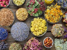 なぜ選ばれる？AVEDA独自の「植物のチカラ」と、髪本来の美しさを引き出すプロの処方◎
