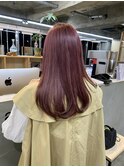 ピンクラベンダー♪