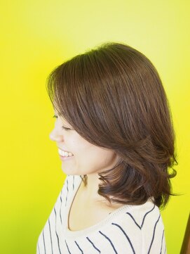 メロッテ ヒャクジュウイチ(Melotte 111) セミロング