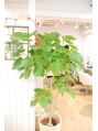 ミエル ヘア 新宿(miel hair) miel hair