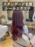 再来クーポン★カラー&シールエクステ40枚《スタンダード》エクステカット込