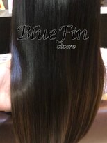 ブルーフィン シセロ(Blue Fin cicero) 暗髪/トリートメント/髪質改善/ツヤ髪セミ/20代30代/透明感