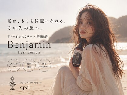 ベンジャミン(Benjamin)の写真