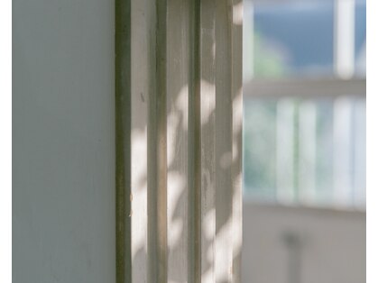 ヒト(H(y)to)の写真