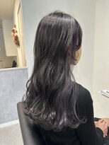 ガーベラ(gerbera)&nbsp;アッシュバイオレット♪