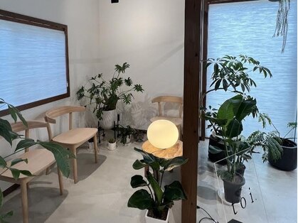 トイ(toi.)の写真