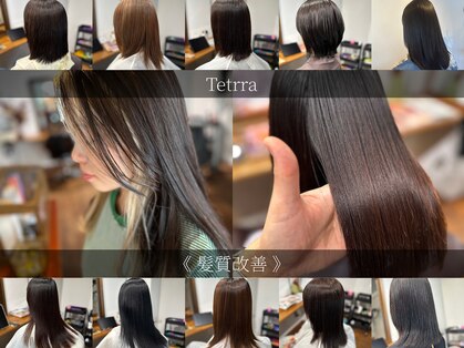 テトラ(Tetrra)の写真