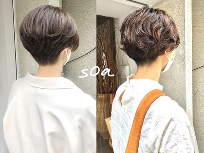 ソア(soa)の写真